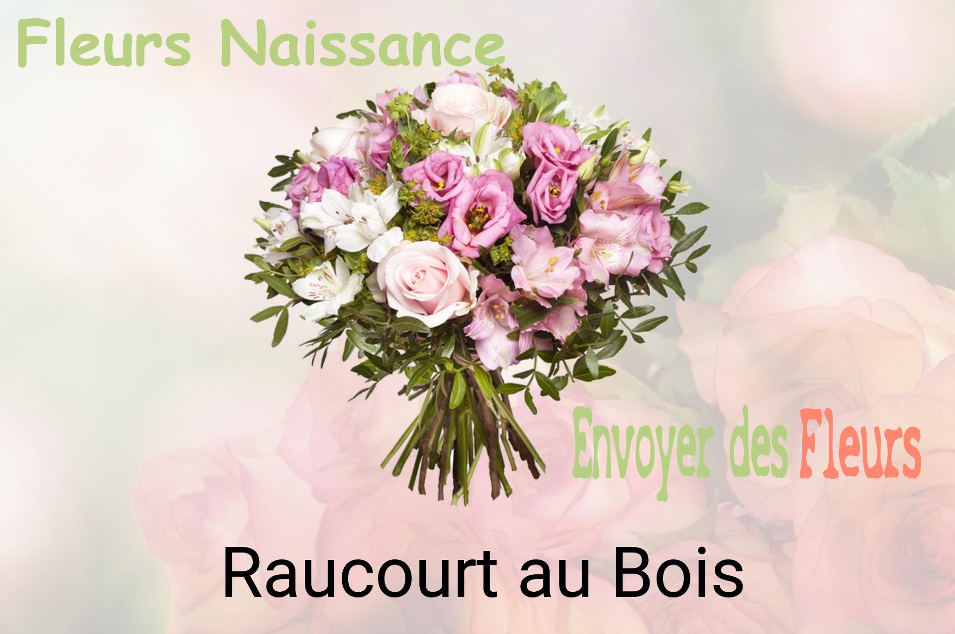 Bouquet de fleurs de naissance livré à Raucourt-au-Bois